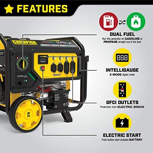 electric start dual fuel portable generator by champion power equipment