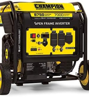 champion power equipment 100520