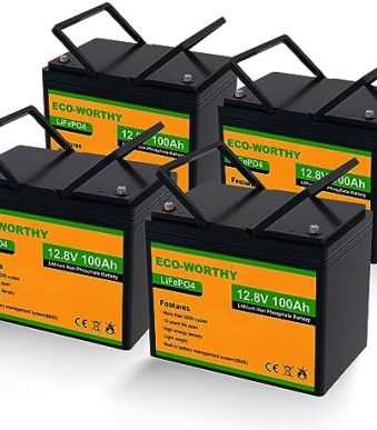 ECO-WORTHY Lithium Battery with BMS 12V 100Ah 4 Pack LiFePO4