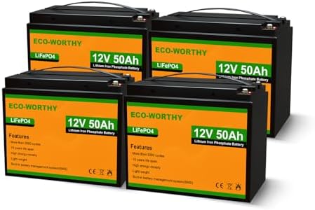 ECO-WORTHY 48V 50Ah LiFePO4 Lithium Battery Pack for Various Applications