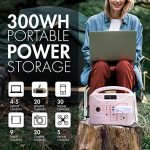 Tenergy T320 Portable Power Station with Multiple Outputs