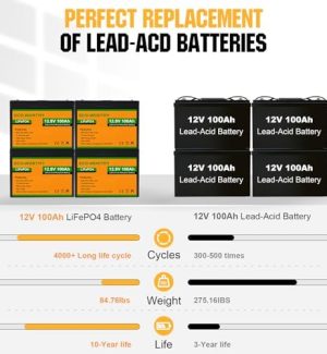 ECO-WORTHY Lithium Battery with BMS 12V 100Ah 4 Pack LiFePO4