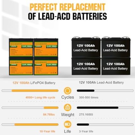 ECO-WORTHY Lithium Battery with BMS 12V 100Ah 4 Pack LiFePO4