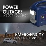 Tenergy T320 Portable Power Station: 300Wh Battery