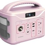 Tenergy T320 Portable Power Station with Multiple Outputs