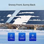 renogy 220w bifacial solar panel for off-grid power applications